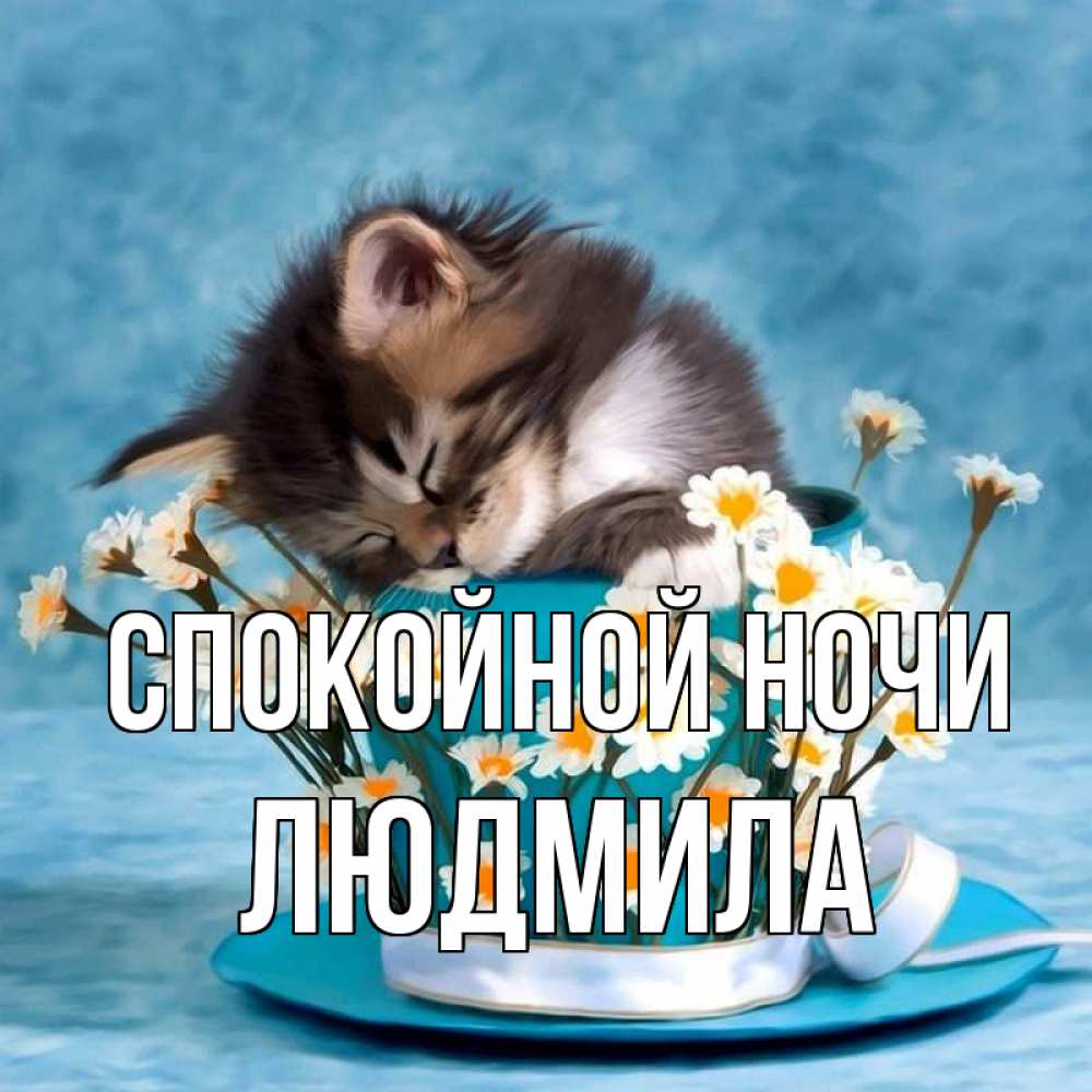 Открытка на каждый день с именем, Людмила Спокойной ночи котенок спит в кружке с блюдцем Прикольная открытка с пожеланием онлайн скачать бесплатно 