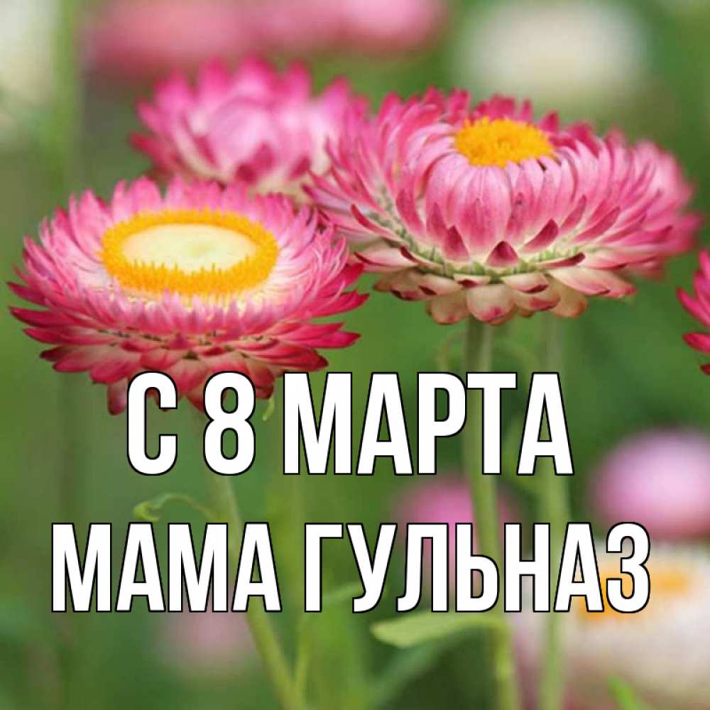 Открытка на каждый день с именем, Мама-Гульназ С 8 МАРТА подарок на международный женский день Прикольная открытка с пожеланием онлайн скачать бесплатно 