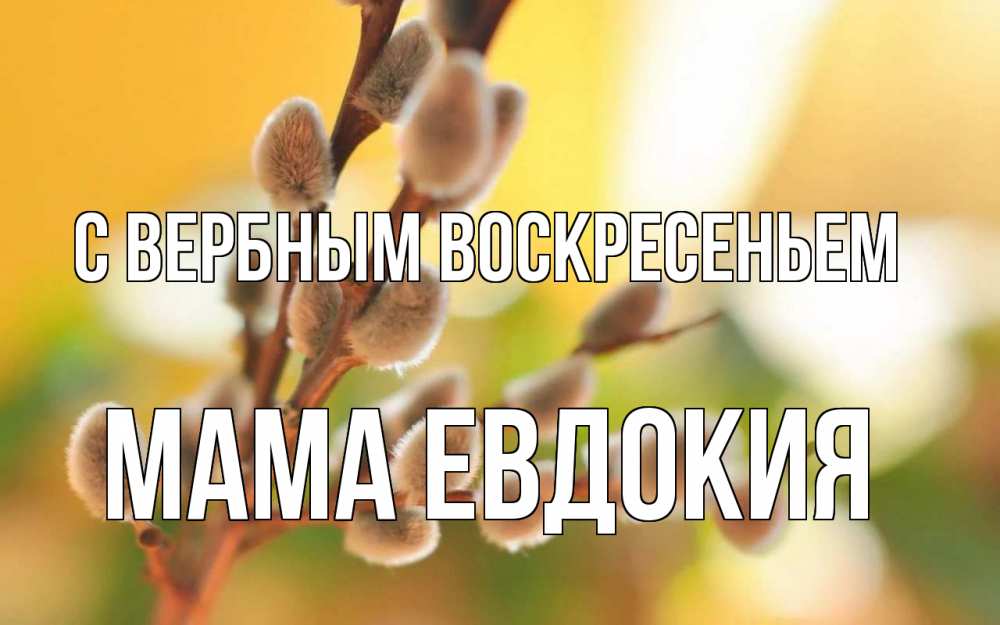 Открытка на каждый день с именем, Мама-Евдокия С вербным воскресеньем верба Прикольная открытка с пожеланием онлайн скачать бесплатно 