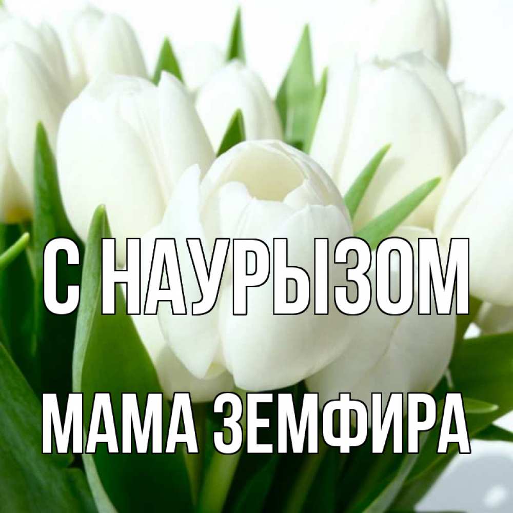 Открытка на каждый день с именем, Мама-Земфира С наурызом цветы Прикольная открытка с пожеланием онлайн скачать бесплатно 