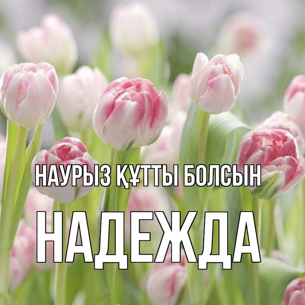 Открытка на каждый день с именем, Надежда Наурыз құтты болсын цветы Прикольная открытка с пожеланием онлайн скачать бесплатно 