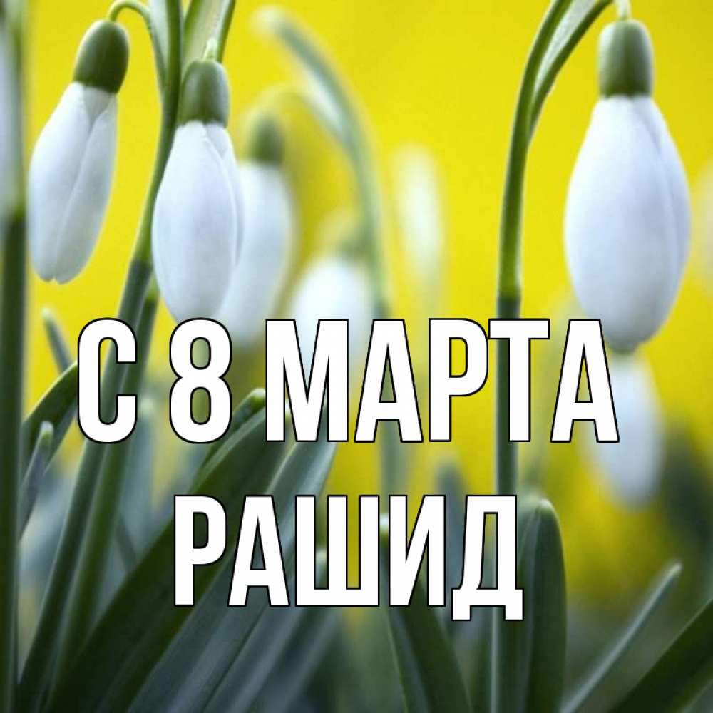 Открытка на каждый день с именем, Рашид С 8 МАРТА весенние цветы Прикольная открытка с пожеланием онлайн скачать бесплатно 