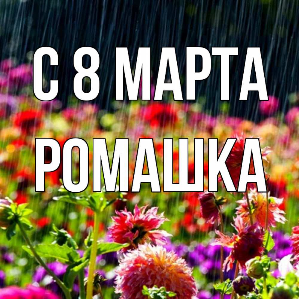 Открытка на каждый день с именем, Ромашка С 8 марта цветы под дождиком к международному женскому дню Прикольная открытка с пожеланием онлайн скачать бесплатно 