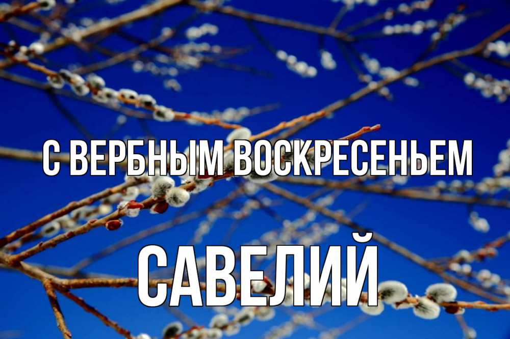 Открытка на каждый день с именем, Савелий С вербным воскресеньем верба Прикольная открытка с пожеланием онлайн скачать бесплатно 