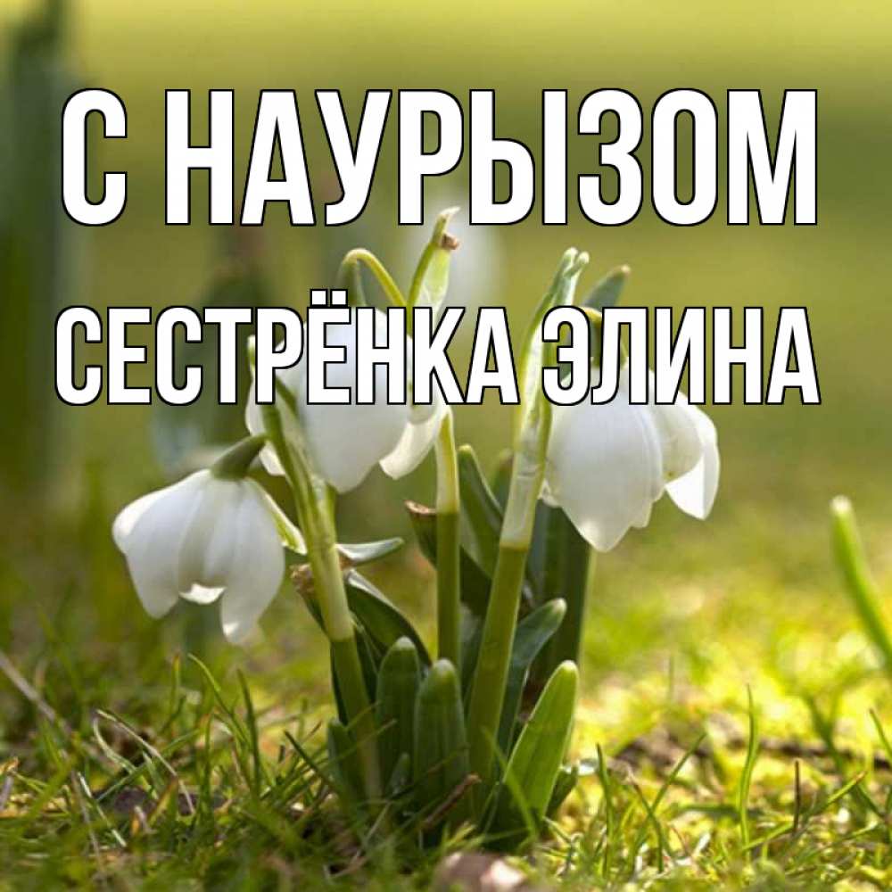 Открытка на каждый день с именем, Сестрёнка-Элина С наурызом ранние цветы 2 Прикольная открытка с пожеланием онлайн скачать бесплатно 