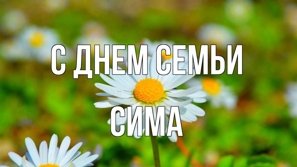 Открытка на каждый день с именем, Сима С днем семьи с днем семьи Прикольная открытка с пожеланием онлайн скачать бесплатно 