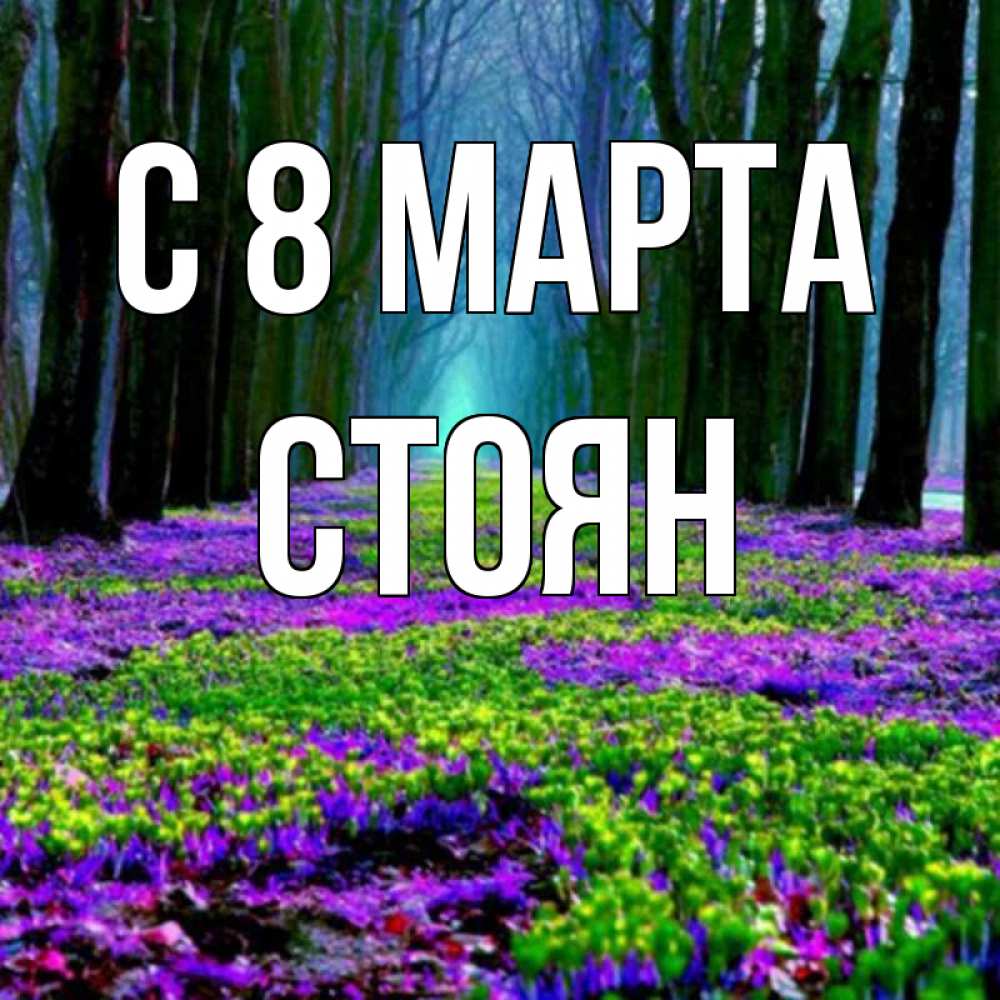 Открытка на каждый день с именем, Стоян С 8 марта фиолетовые цветы в лесу 1 Прикольная открытка с пожеланием онлайн скачать бесплатно 