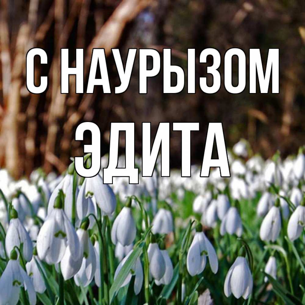 Открытка на каждый день с именем, Эдита С наурызом с подснежниками 1 Прикольная открытка с пожеланием онлайн скачать бесплатно 