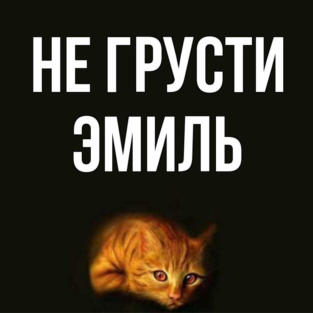 Открытка на каждый день с именем, Эмиль Не грусти лежащий кот в темноте Прикольная открытка с пожеланием онлайн скачать бесплатно 
