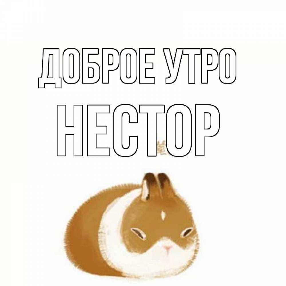 Открытка на каждый день с именем, Нестор Доброе утро хорошего утречка Прикольная открытка с пожеланием онлайн скачать бесплатно 