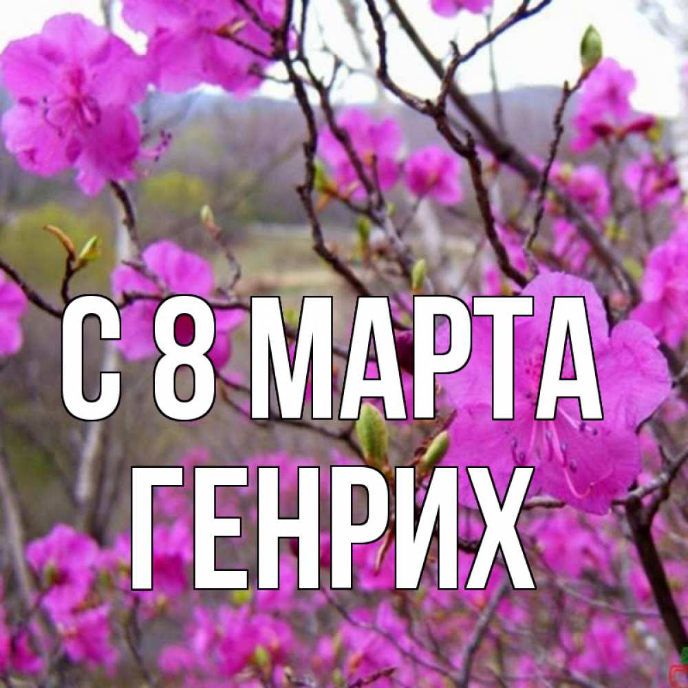 Открытка на каждый день с именем, Генрих С 8 МАРТА международный женский день Прикольная открытка с пожеланием онлайн скачать бесплатно 