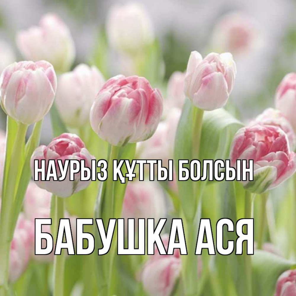 Открытка на каждый день с именем, Бабушка-Ася Наурыз құтты болсын цветы Прикольная открытка с пожеланием онлайн скачать бесплатно 