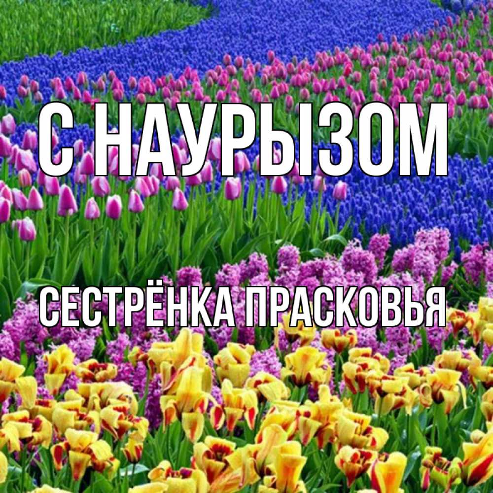 Открытка на каждый день с именем, Сестрёнка-Прасковья С наурызом цветы Прикольная открытка с пожеланием онлайн скачать бесплатно 