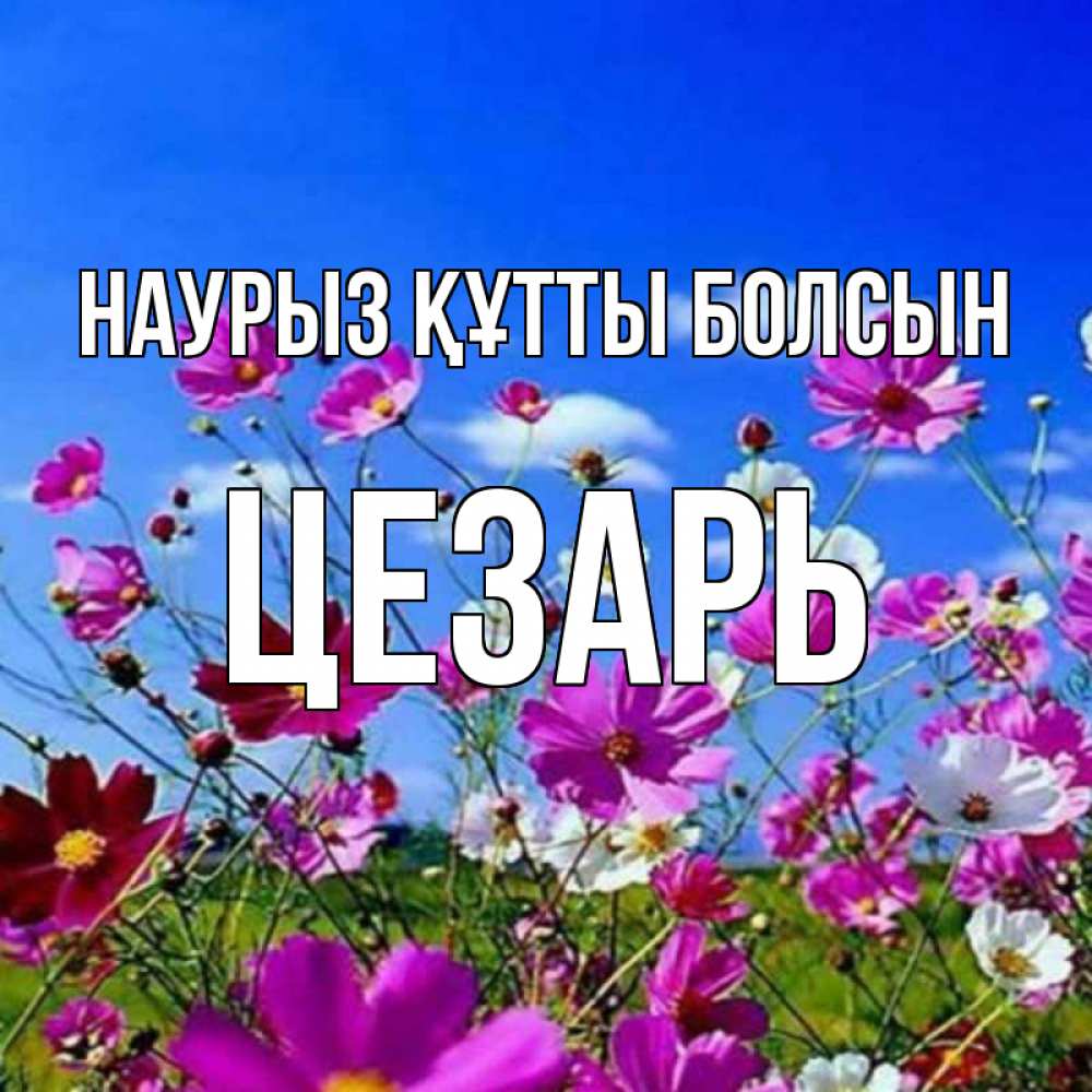 Открытка на каждый день с именем, Цезарь Наурыз құтты болсын цветы Прикольная открытка с пожеланием онлайн скачать бесплатно 