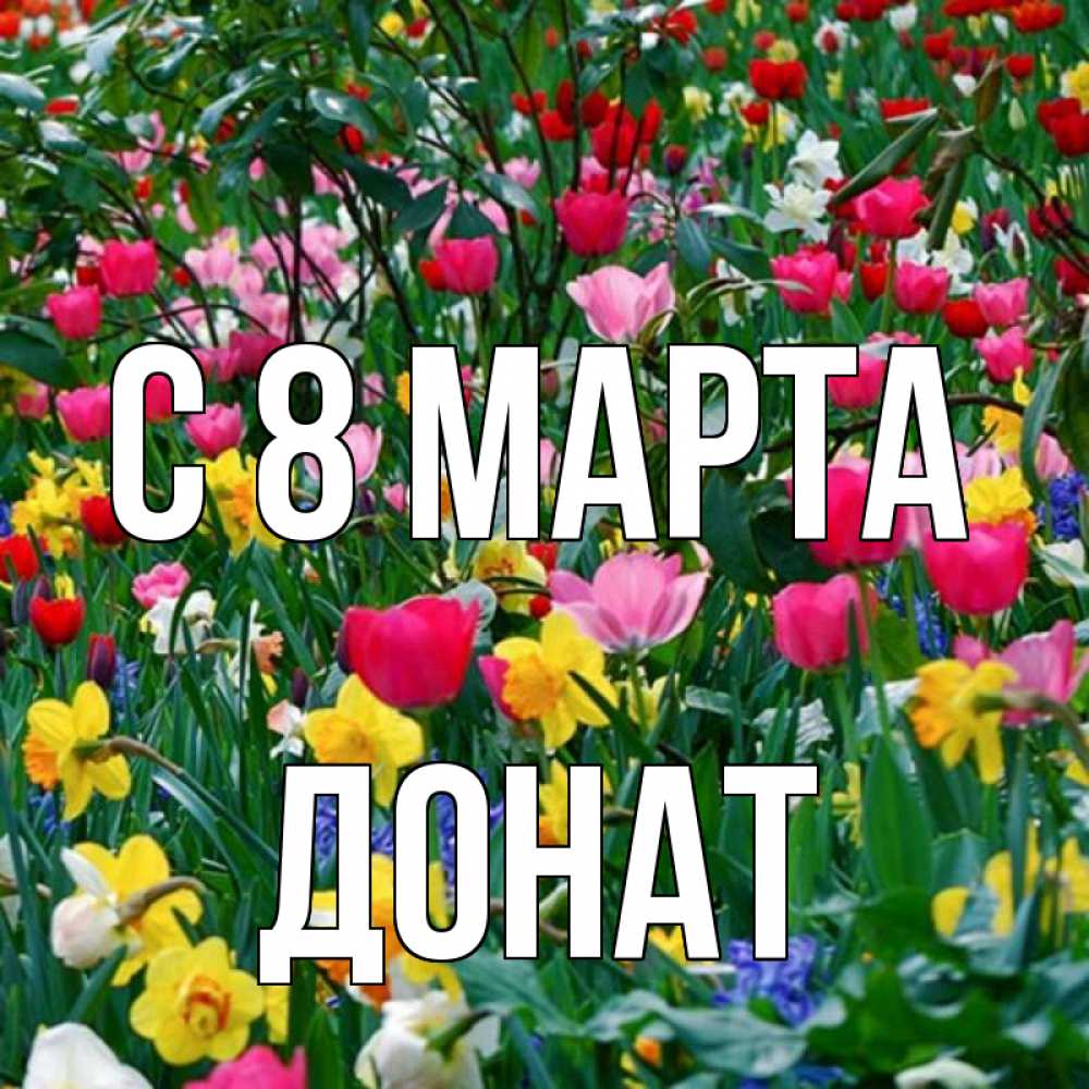 Открытка на каждый день с именем, Донат С 8 МАРТА с международным женским днем поздравления для женщины Прикольная открытка с пожеланием онлайн скачать бесплатно 