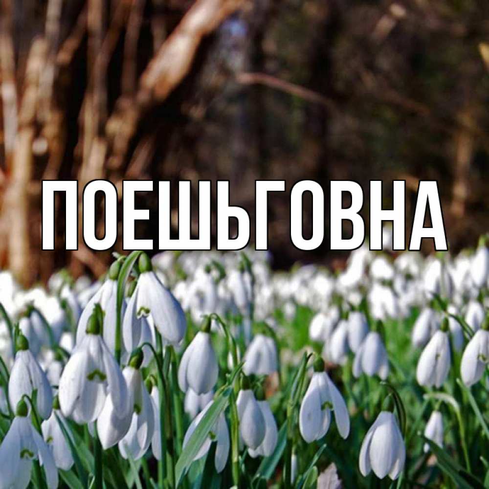 Открытка с именем, поешьговна, 