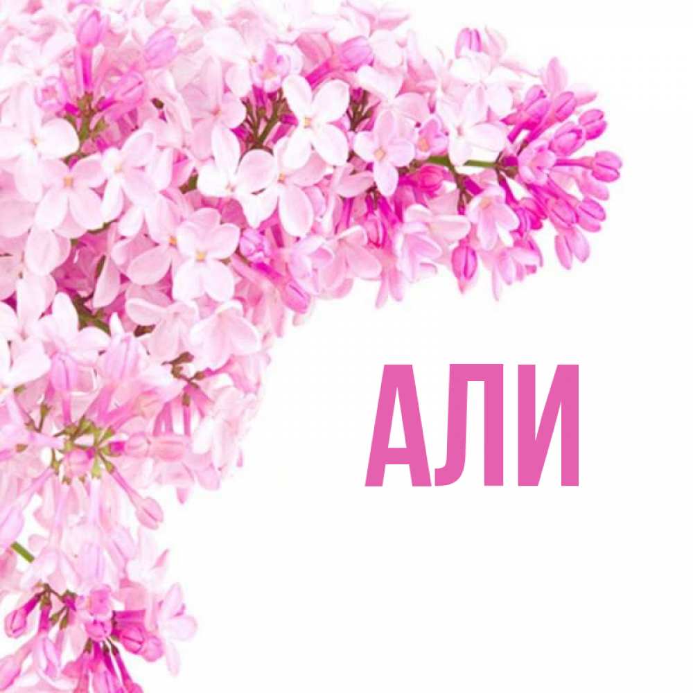 Яна Картинки
