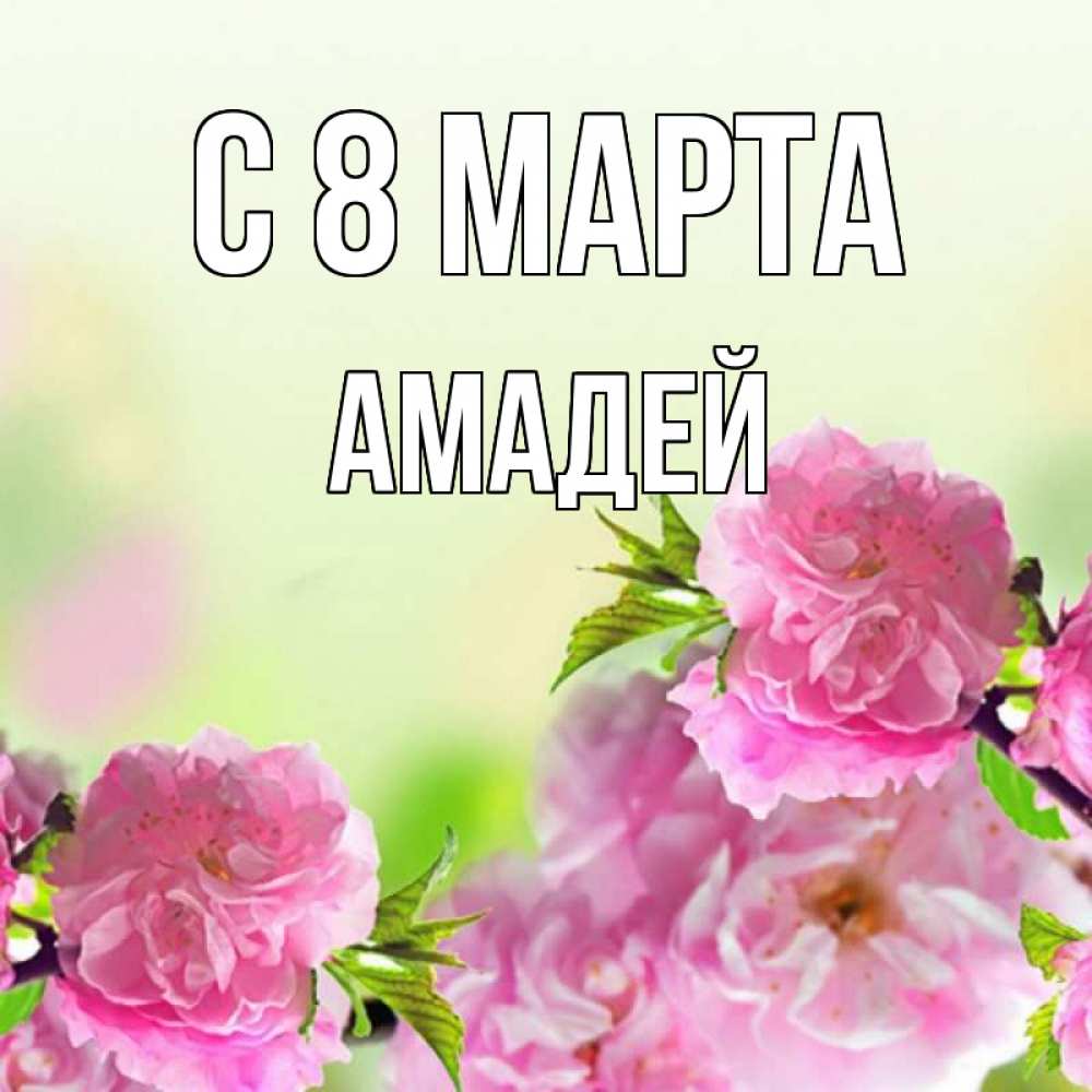 Открытка на каждый день с именем, Амадей С 8 МАРТА цветы Прикольная открытка с пожеланием онлайн скачать бесплатно 