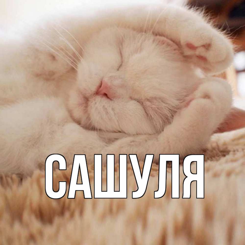 Сашуля картинки с именем