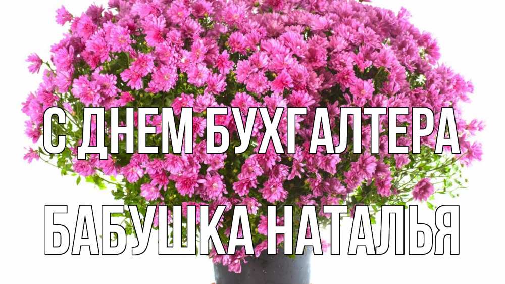 Открытка на каждый день с именем, Бабушка-Наталья С днем бухгалтера с днем бухгалтера Прикольная открытка с пожеланием онлайн скачать бесплатно 