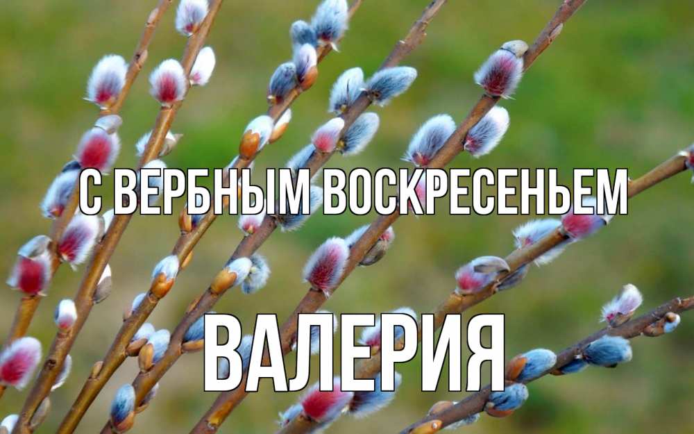 Открытка на каждый день с именем, Валерия С вербным воскресеньем верба Прикольная открытка с пожеланием онлайн скачать бесплатно 