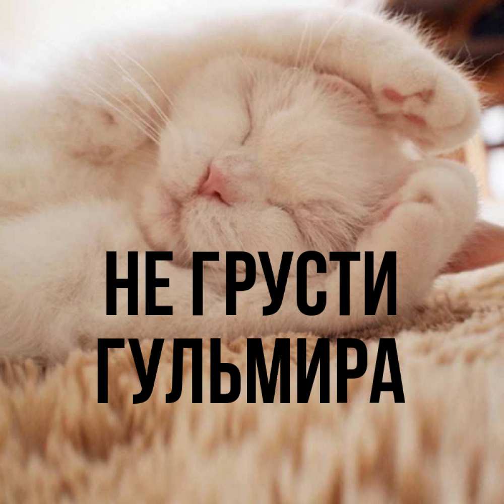 Открытка на каждый день с именем, Гульмира Не грусти Котенок спит Прикольная открытка с пожеланием онлайн скачать бесплатно 