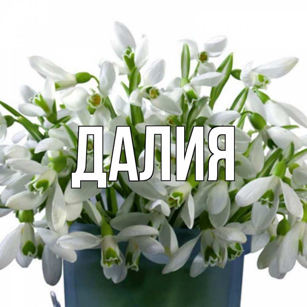 Открытка на каждый день с именем, Далия Главная цветы к наурызу новый год в Казахстане Прикольная открытка с пожеланием онлайн скачать бесплатно 