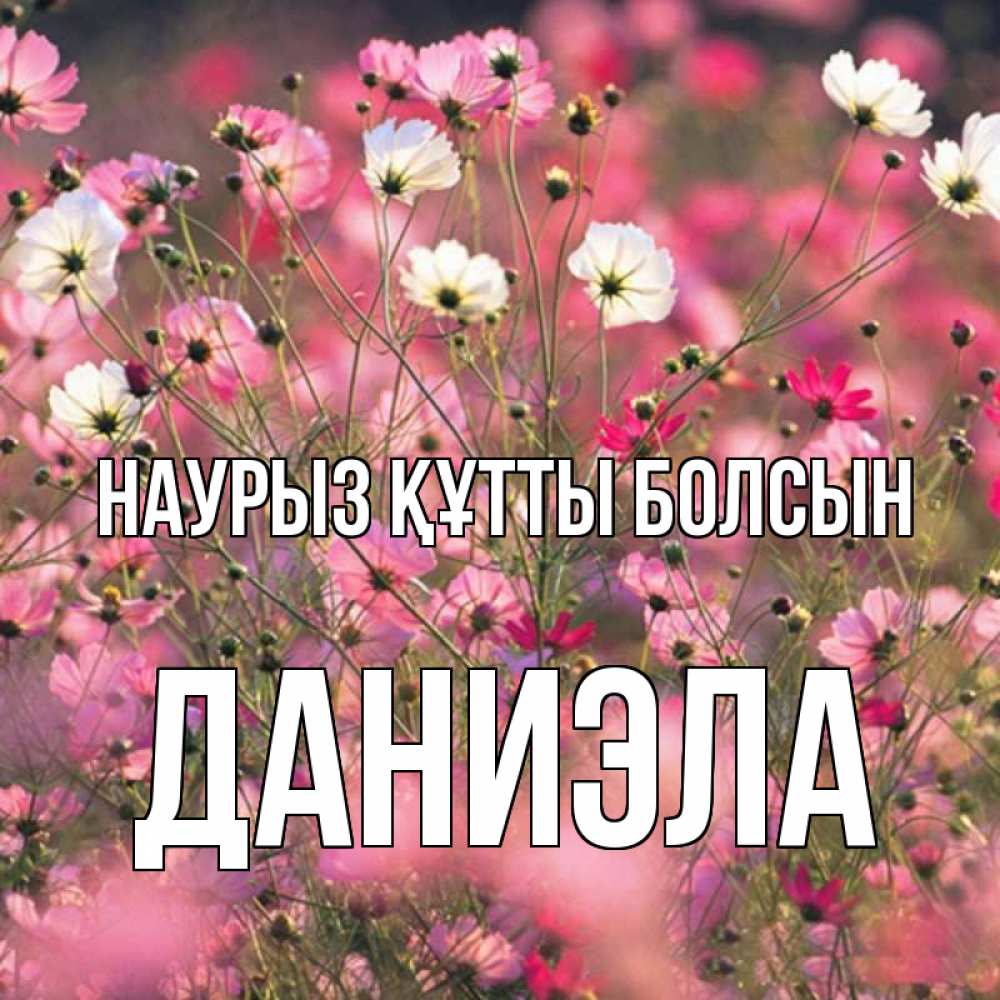 Открытка на каждый день с именем, Даниэла Наурыз құтты болсын красиво 1 Прикольная открытка с пожеланием онлайн скачать бесплатно 