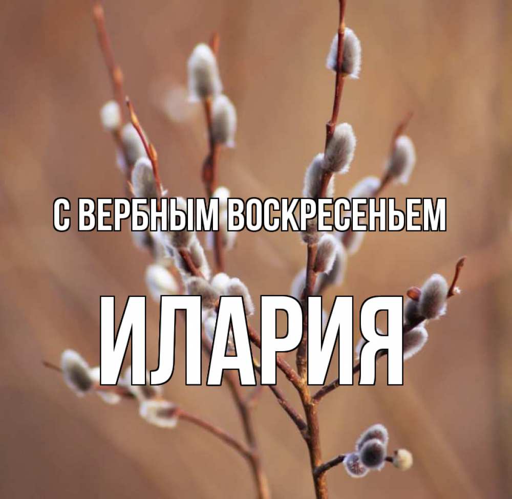 Открытка на каждый день с именем, Илария С вербным воскресеньем верба Прикольная открытка с пожеланием онлайн скачать бесплатно 