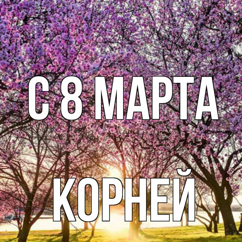Открытка на каждый день с именем, Корней С 8 МАРТА международный женский день Прикольная открытка с пожеланием онлайн скачать бесплатно 