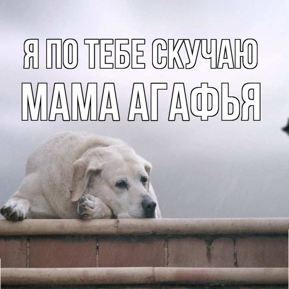 Открытка на каждый день с именем, Мама-Агафья Я по тебе скучаю ждет Прикольная открытка с пожеланием онлайн скачать бесплатно 