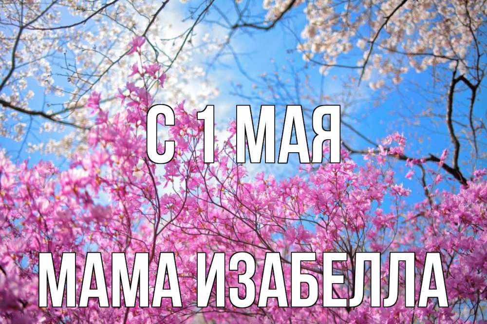 Открытка на каждый день с именем, Мама-Изабелла С 1 мая С 1 мая Прикольная открытка с пожеланием онлайн скачать бесплатно 