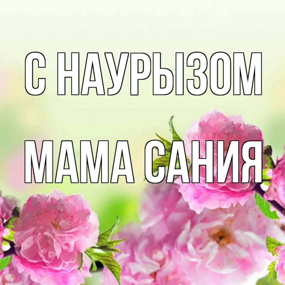 Открытка на каждый день с именем, Мама-Сания С наурызом цветы Прикольная открытка с пожеланием онлайн скачать бесплатно 