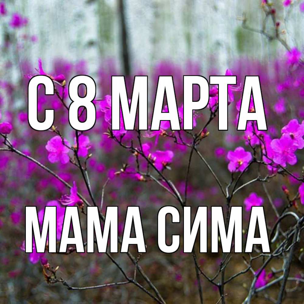 Открытка на каждый день с именем, Мама-Сима С 8 марта дикие цветы Прикольная открытка с пожеланием онлайн скачать бесплатно 