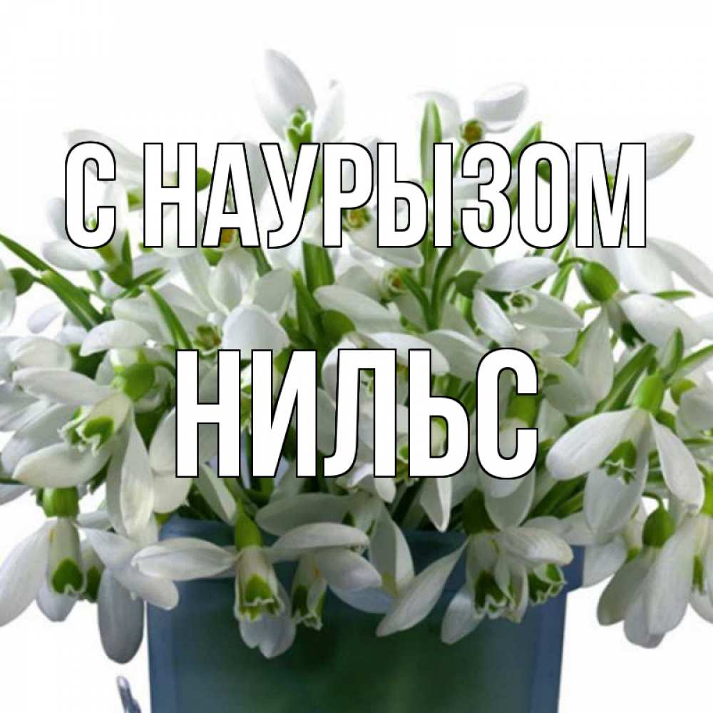 Открытка на каждый день с именем, Нильс С наурызом цветы к наурызу новый год в Казахстане Прикольная открытка с пожеланием онлайн скачать бесплатно 