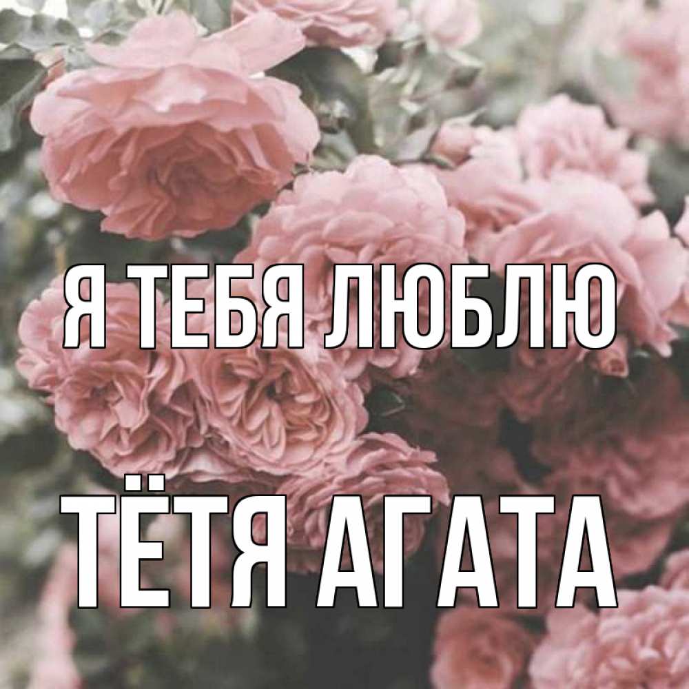 Открытка на каждый день с именем, Тётя-Агата Я тебя люблю розы 3 Прикольная открытка с пожеланием онлайн скачать бесплатно 