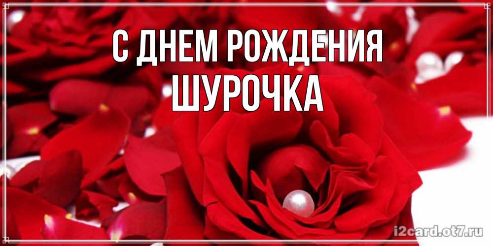 Открытка на каждый день с именем, Шурочка С днем рождения роза с жемчужиной на открытке для любимых Прикольная открытка с пожеланием онлайн скачать бесплатно 