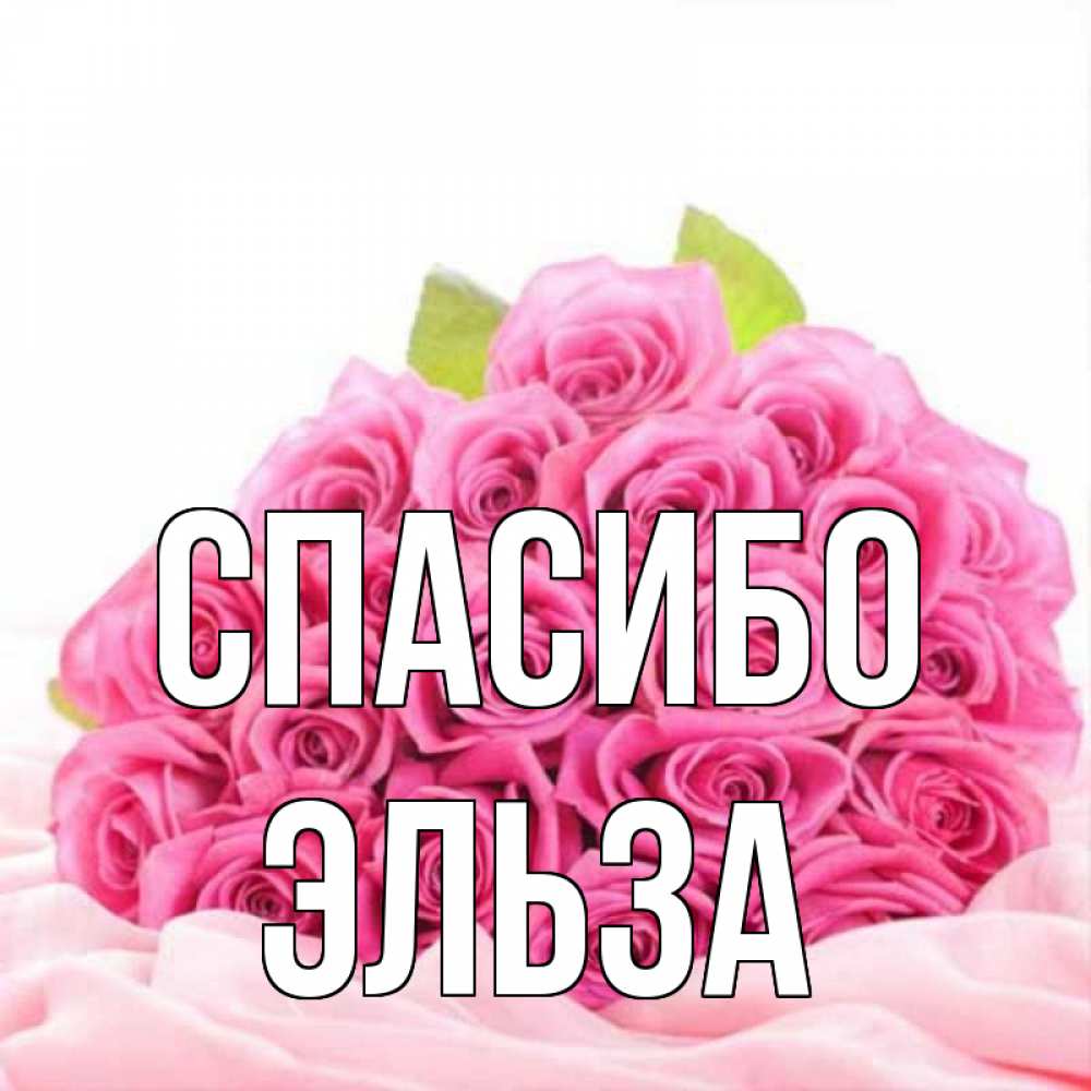 Открытка на каждый день с именем, Эльза Спасибо розовые розы с подписью Прикольная открытка с пожеланием онлайн скачать бесплатно 