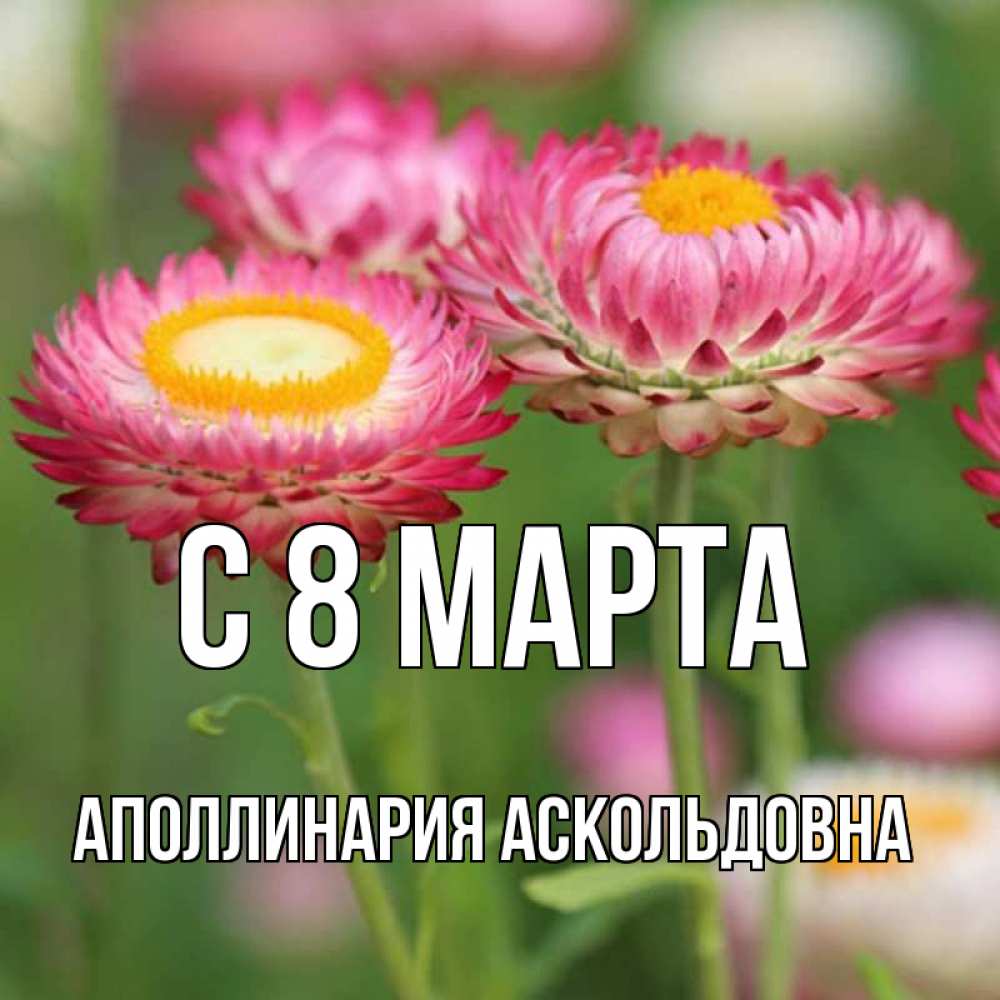 Картинка С 8 МАРТА, Аполлинария Аскольдовна