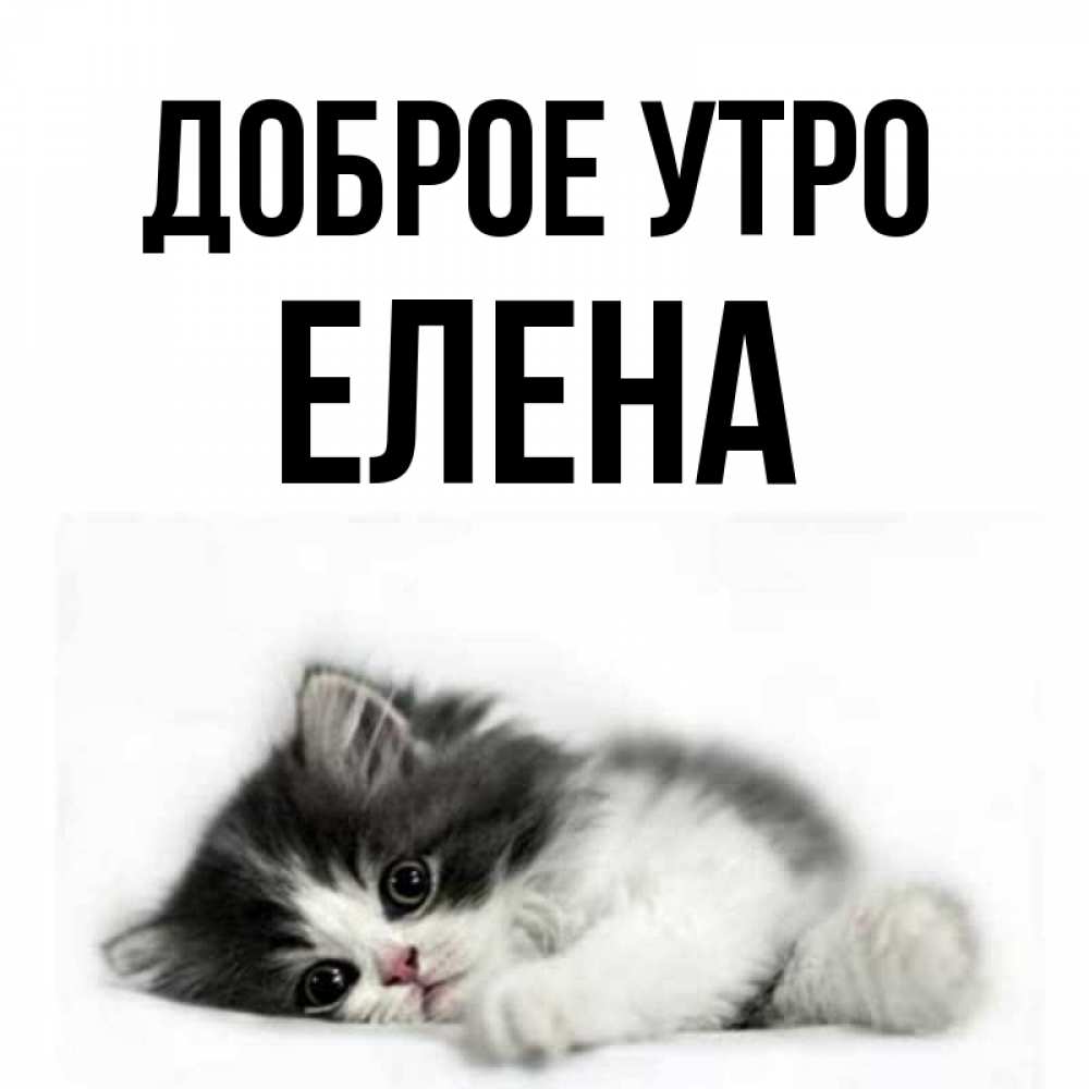 Доброе утро елена открытка, ночи видео