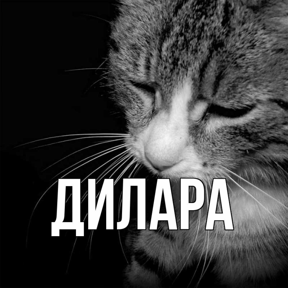 Открытка на каждый день с именем, Дилара Главная мне скучно Прикольная открытка с пожеланием онлайн скачать бесплатно 