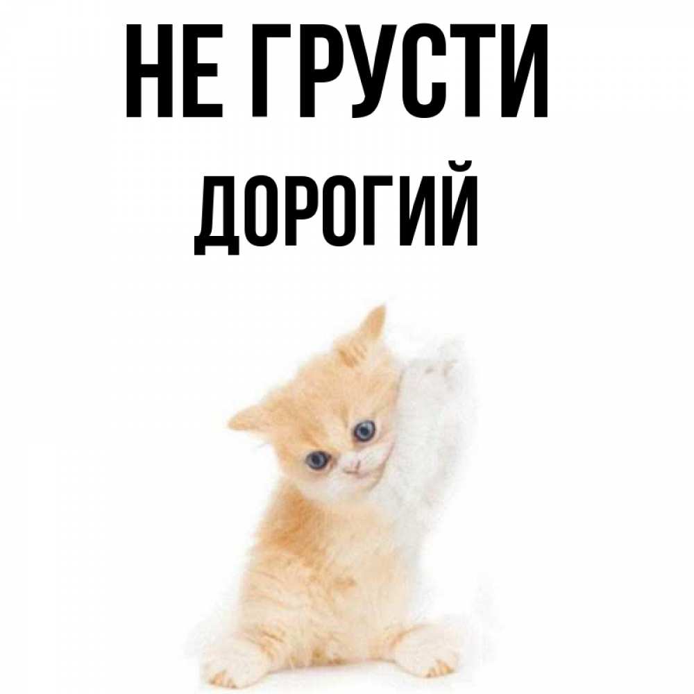 Не грусти дорогой и не. Не грусти дорогой и не. Не грусти мой дорогой. Не грусти дождь пройдет картинки. Улыбнись все будет хорошо.