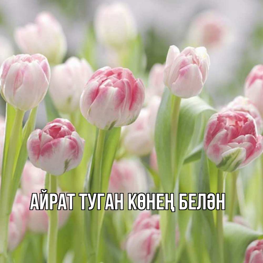 Картинка  с именем , Айрат туган көнең белән
