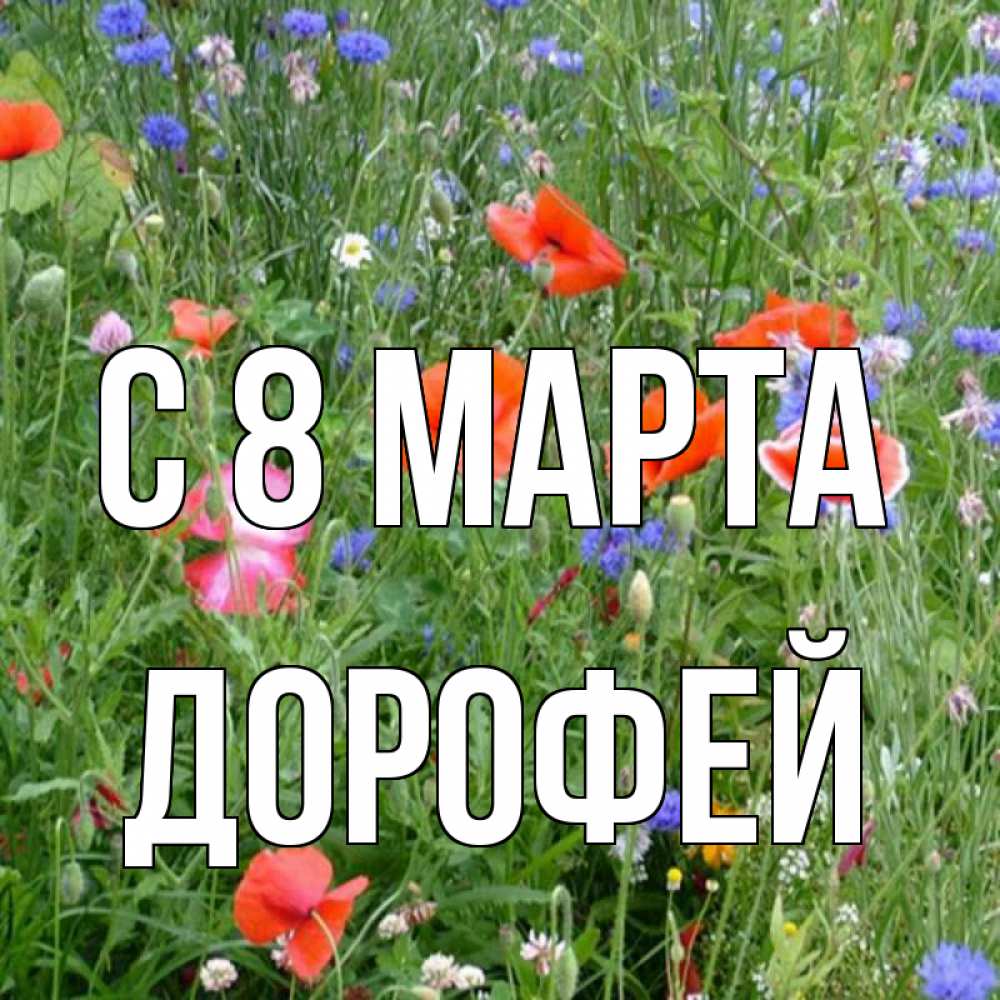 Открытка на каждый день с именем, Дорофей С 8 МАРТА международный женский день 4 Прикольная открытка с пожеланием онлайн скачать бесплатно 