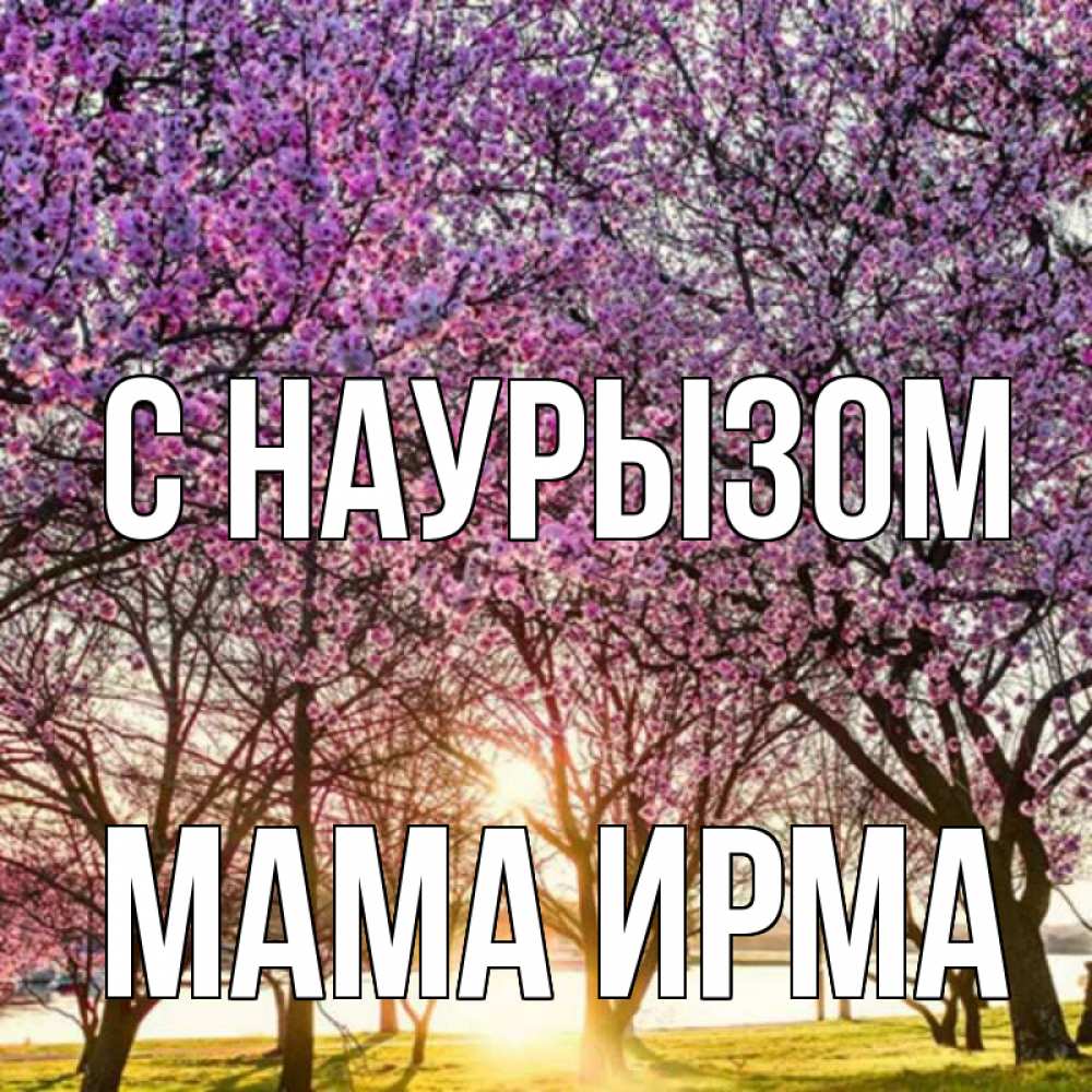 Открытка на каждый день с именем, Мама-Ирма С наурызом праздник весны наурыз Прикольная открытка с пожеланием онлайн скачать бесплатно 