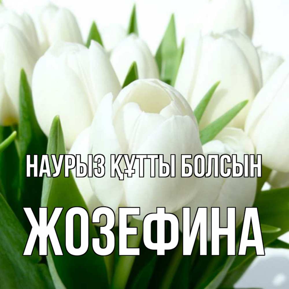 Открытка на каждый день с именем, Жозефина Наурыз құтты болсын цветы Прикольная открытка с пожеланием онлайн скачать бесплатно 