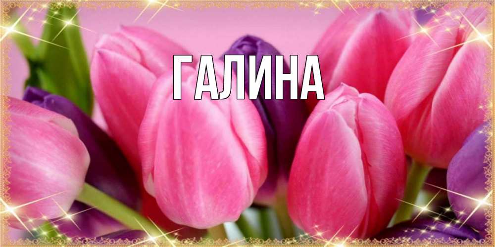 Открытка на каждый день с именем, Галина Главная тюльпаны для женщины на международный женский день Прикольная открытка с пожеланием онлайн скачать бесплатно 