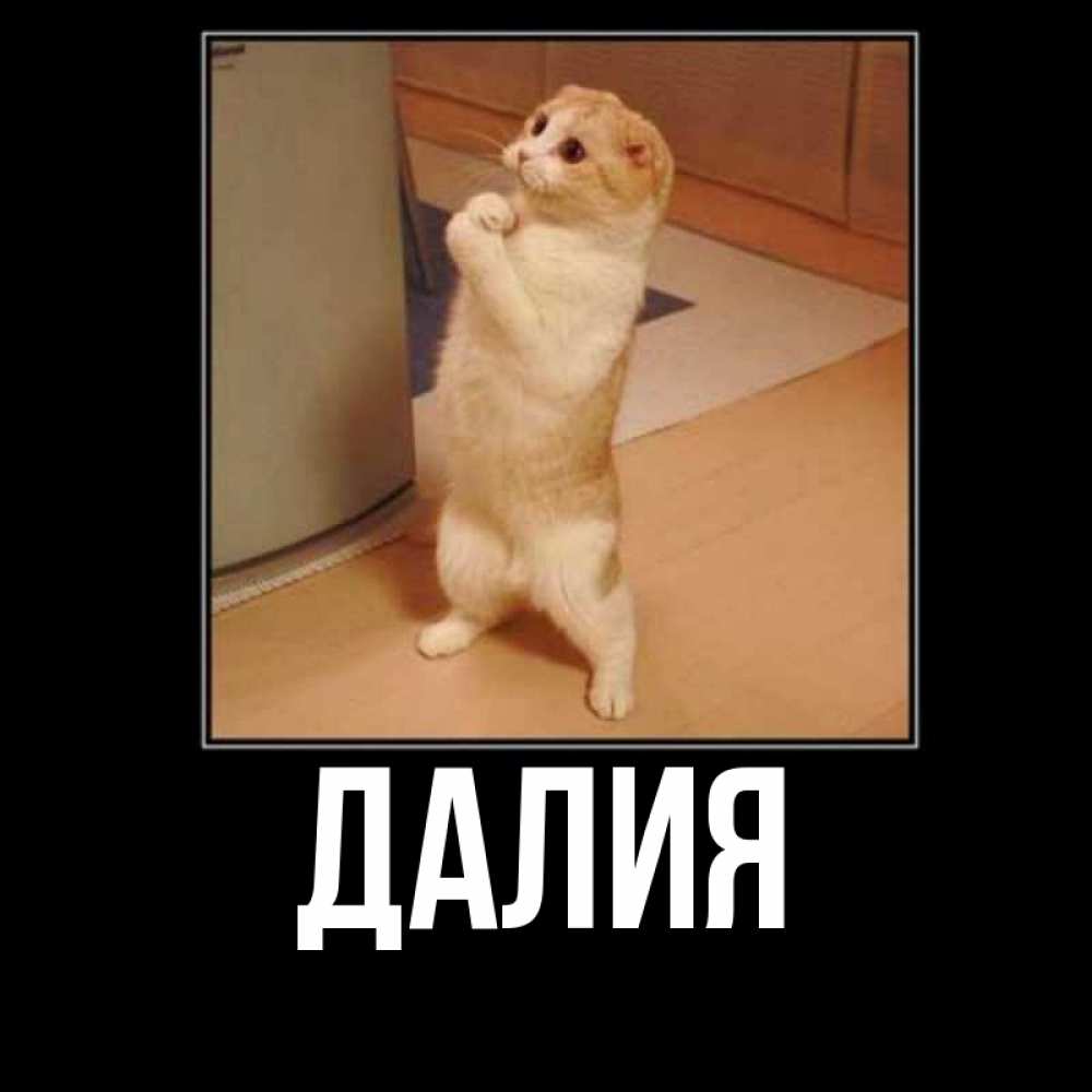 Картинка  с именем , Далия
