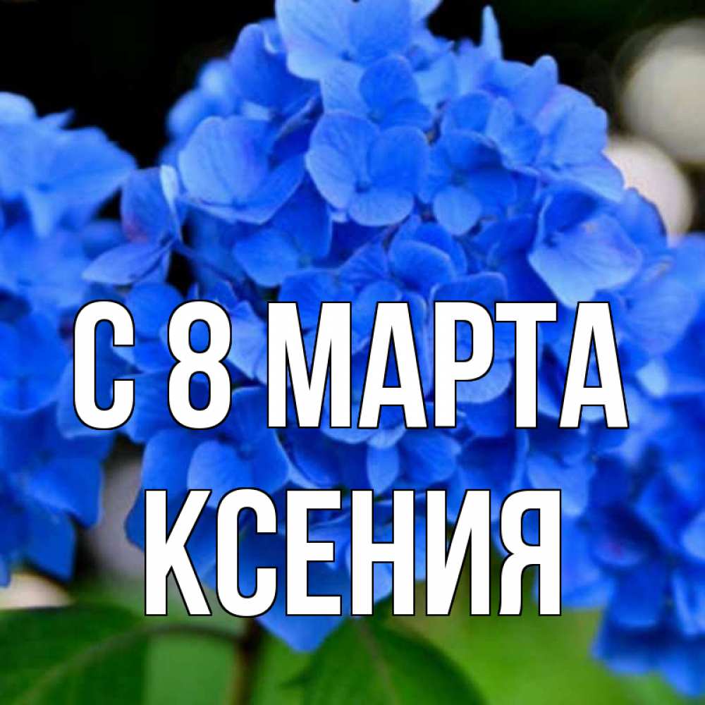 Открытка на каждый день с именем, Ксения С 8 МАРТА синие цветы Прикольная открытка с пожеланием онлайн скачать бесплатно 