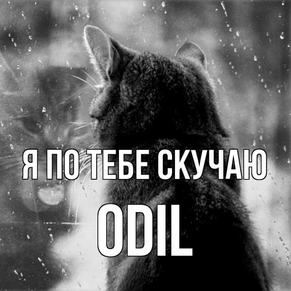 Жду тебя любимый открытки